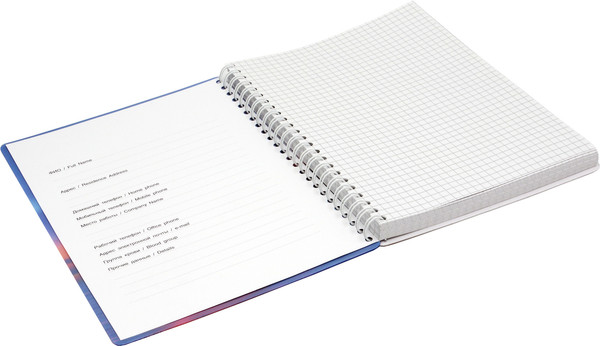 Изображение товара Тетрадь Полином Атмосферный Петербург. Вид на город / 3427 (80л)