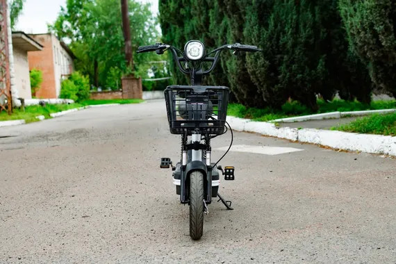 Изображение товара Электровелосипед AVM Delta One (черный)