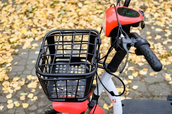 Изображение товара Электровелосипед AVM Delta One (красный)