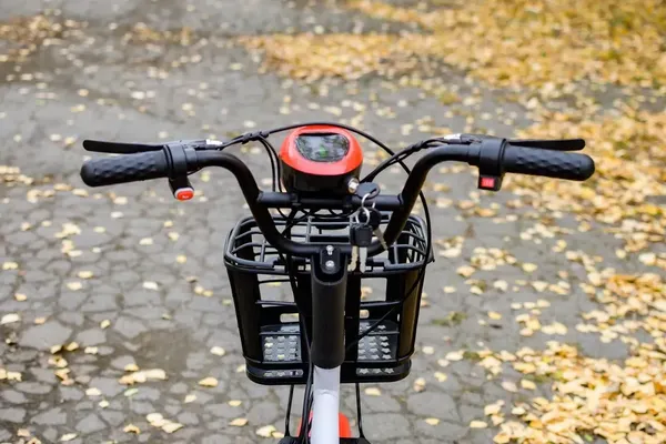 Изображение товара Электровелосипед AVM Delta One (красный)