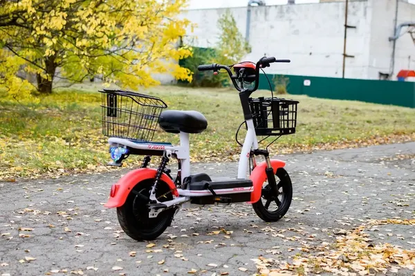 Изображение товара Электровелосипед AVM Delta One (красный)