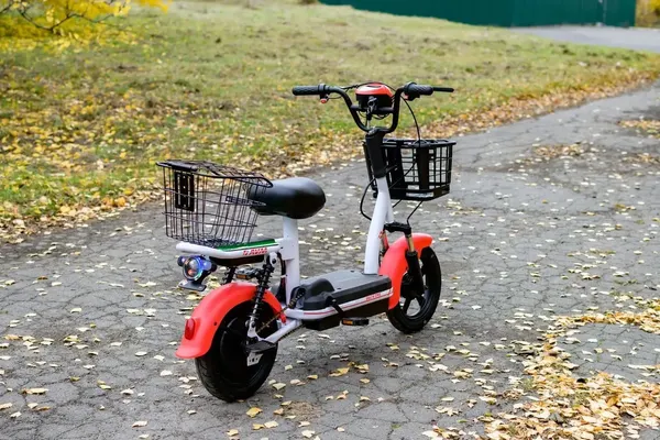 Изображение товара Электровелосипед AVM Delta One (красный)