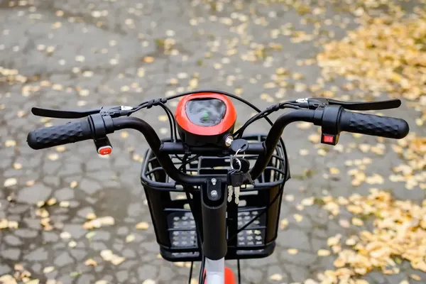 Изображение товара Электровелосипед AVM Delta One (красный)