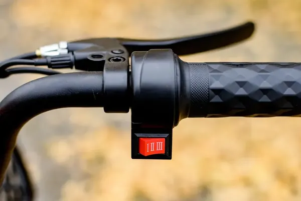 Изображение товара Электровелосипед AVM Delta One (красный)