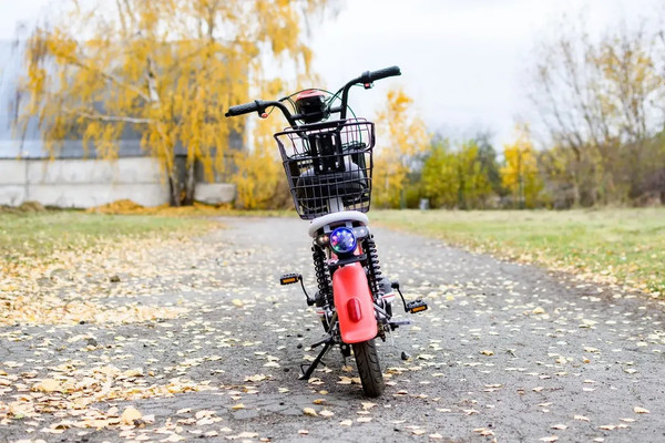 Изображение товара Электровелосипед AVM Delta One (красный)