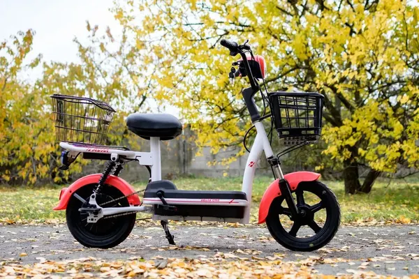 Изображение товара Электровелосипед AVM Delta One (красный)