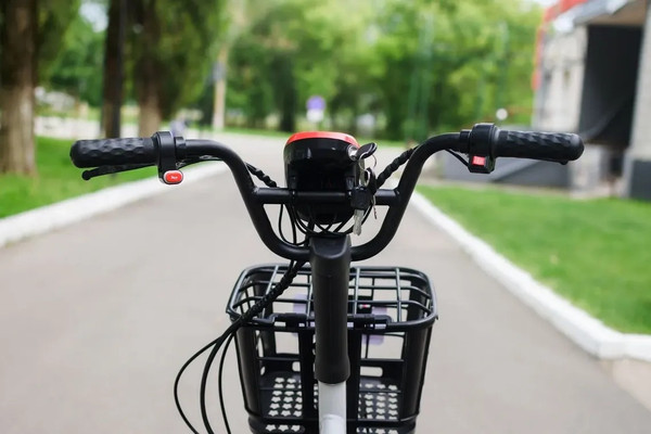 Изображение товара Электровелосипед AVM Delta One (красный)