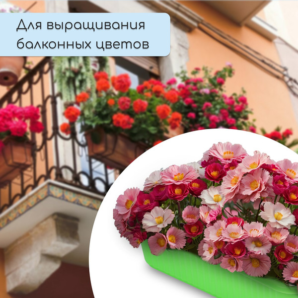 Изображение товара Ящик для рассады GREENGO 9035822 (зеленый)