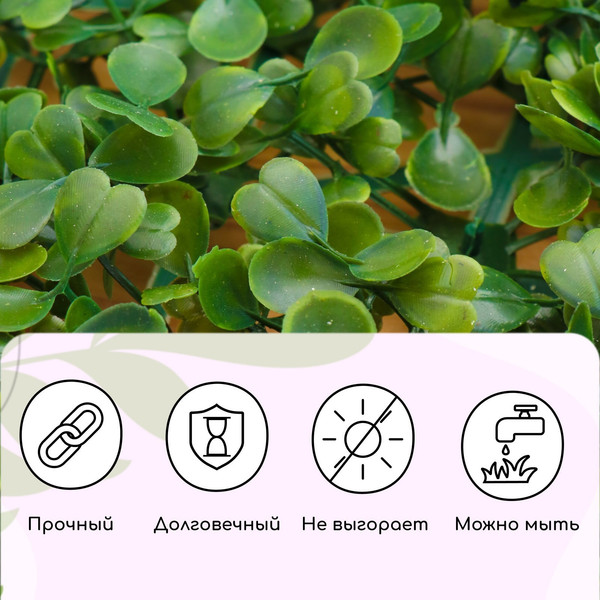 Изображение товара Изгородь декоративная GREENGO Мокрица 60x40см / 6869838