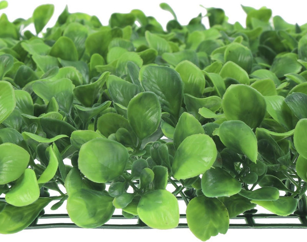 Изображение товара Изгородь декоративная GREENGO Мокрица 60x40см / 6869838