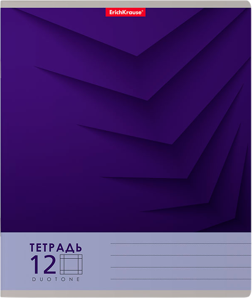 Изображение товара Тетрадь Erich Krause Duotone Next / 56296 (12л, крупная клетка)