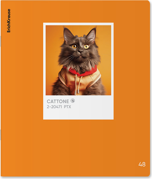 Изображение товара Тетрадь Erich Krause CatTone / 63308 (48л. клетка)