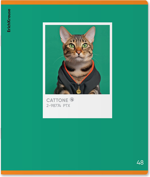 Изображение товара Тетрадь Erich Krause CatTone / 63308 (48л. клетка)