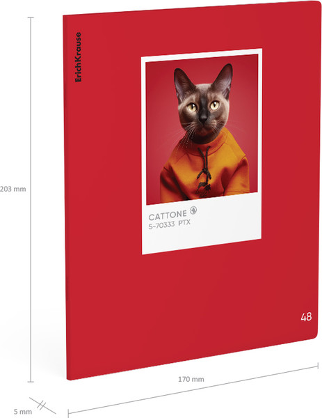 Изображение товара Тетрадь Erich Krause CatTone / 63308 (48л. клетка)