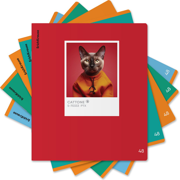 Изображение товара Тетрадь Erich Krause CatTone / 63308 (48л. клетка)