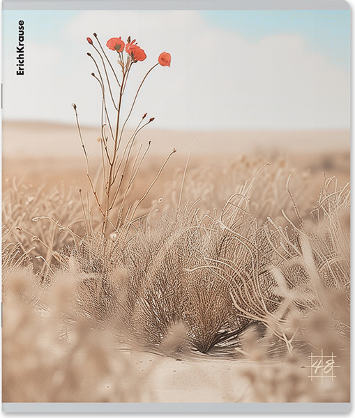 Изображение товара Тетрадь Erich Krause Pasifico / 63318 (48л, клетка)