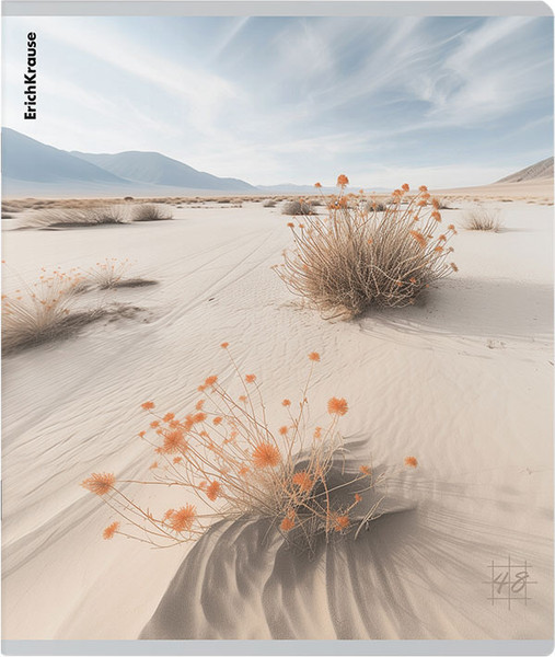 Изображение товара Тетрадь Erich Krause Pasifico / 63318 (48л, клетка)