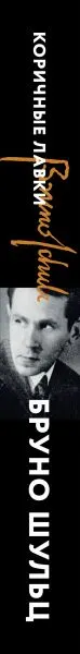 Изображение товара Художественная книга Эксмо Коричные лавки, мягкая обложка (Шульц Бруно)