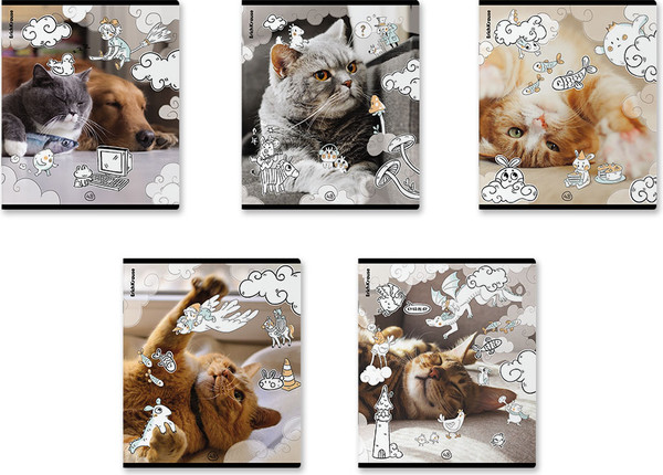 Изображение товара Тетрадь Erich Krause Dream Cat / 54161 (48л, клетка)