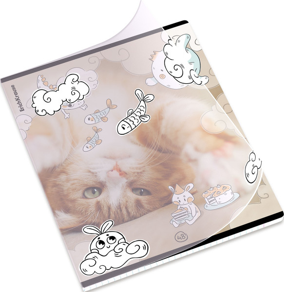 Изображение товара Тетрадь Erich Krause Dream Cat / 54161 (48л, клетка)