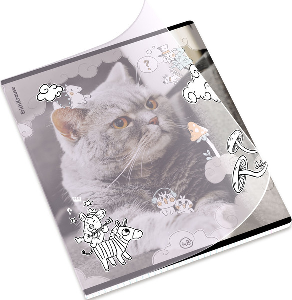 Изображение товара Тетрадь Erich Krause Dream Cat / 54161 (48л, клетка)
