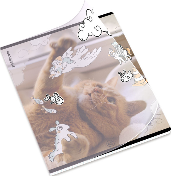 Изображение товара Тетрадь Erich Krause Dream Cat / 54161 (48л, клетка)