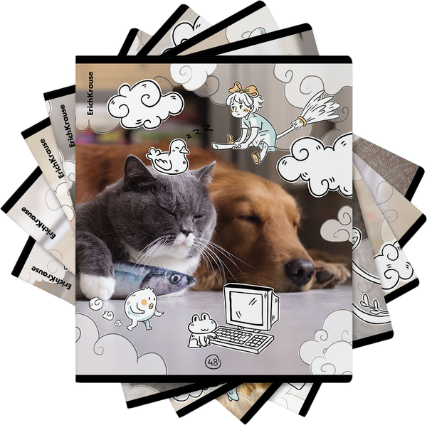 Изображение товара Тетрадь Erich Krause Dream Cat / 54161 (48л, клетка)