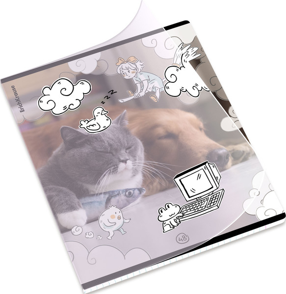 Изображение товара Тетрадь Erich Krause Dream Cat / 54161 (48л, клетка)