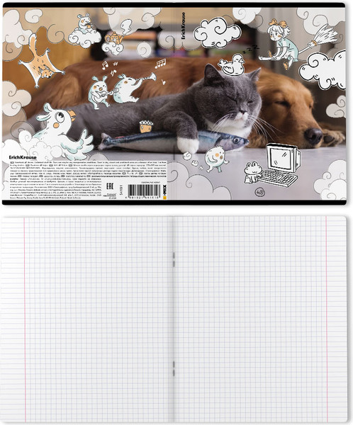 Изображение товара Тетрадь Erich Krause Dream Cat / 54161 (48л, клетка)