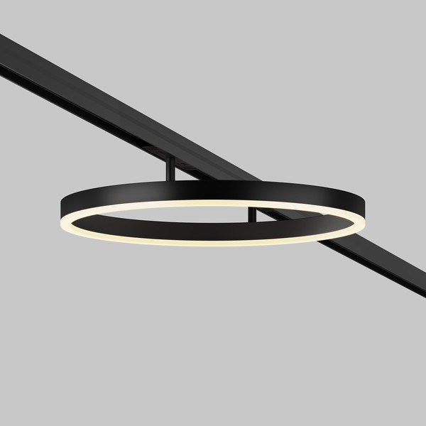 Изображение товара Трековый светильник Maytoni TR227-2-24W3K-B