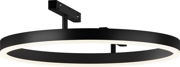 Изображение товара Трековый светильник Maytoni TR227-2-24W4K-B