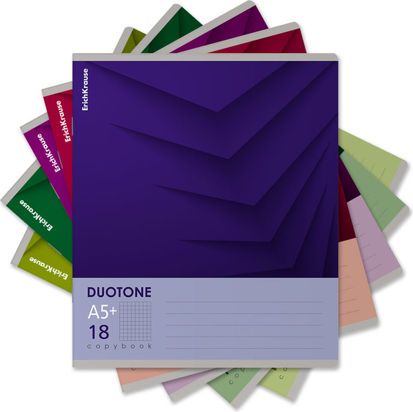 Изображение товара Тетрадь Erich Krause Duotone Next / 56302 (18л, клетка)
