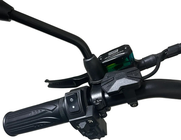 Изображение товара Электровелосипед Minako F10 Dual (черный)