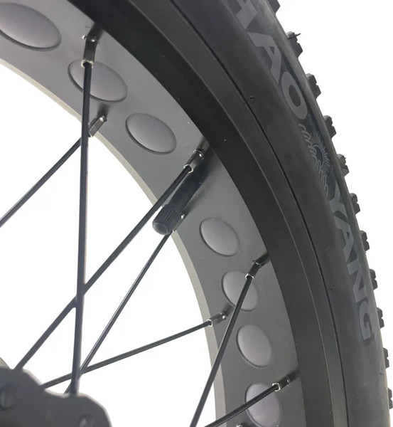 Изображение товара Электровелосипед Minako F10 Dual (черный)