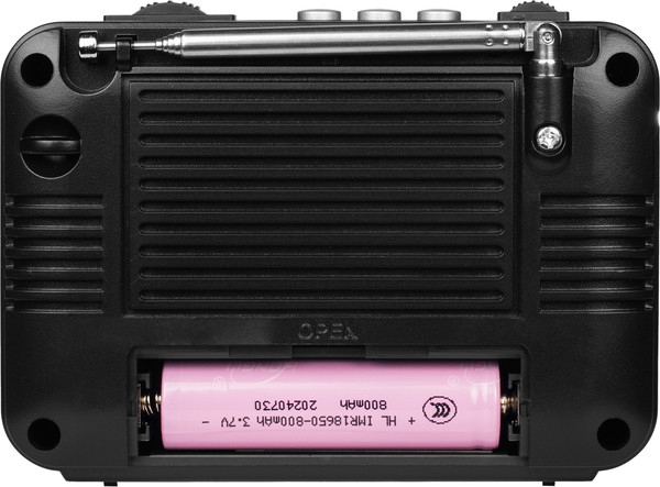 Изображение товара Радиоприемник Ritmix RPR-161