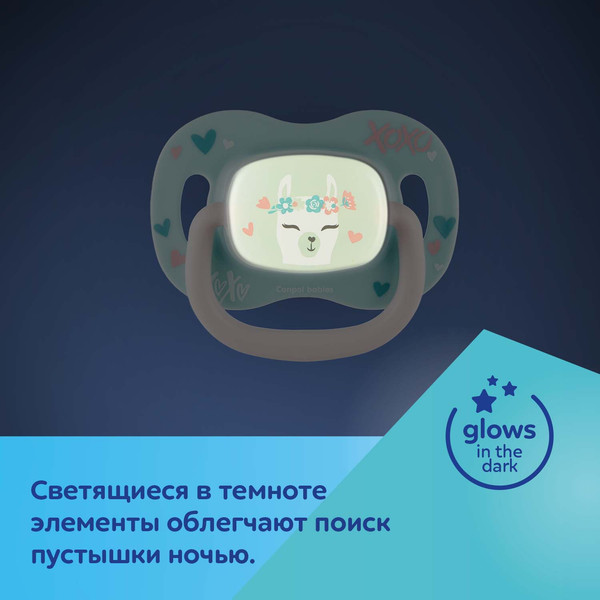 Изображение товара Пустышка Canpol Exotic Animals силиконовая симметричная 18мес / 34/922_koal