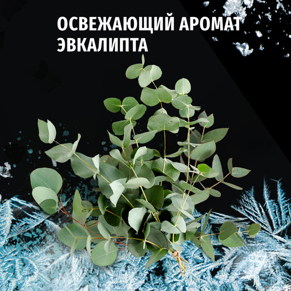 Изображение товара Гель для душа Фа Men 2в1 Охлаждение экстрим (750мл)