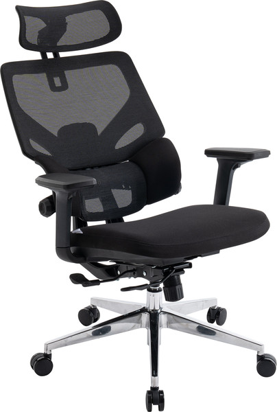 Изображение товара Кресло офисное Evolution LumbarPro AL