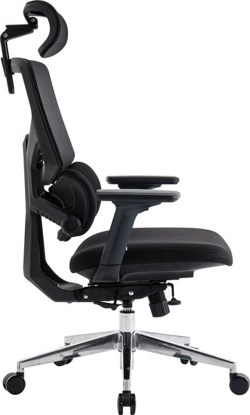 Изображение товара Кресло офисное Evolution LumbarPro AL