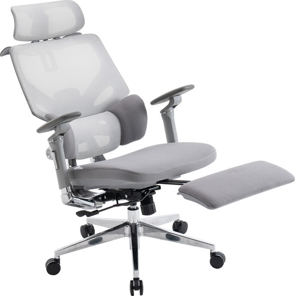 Изображение товара Кресло офисное Evolution LumbarPro Elite (серый)