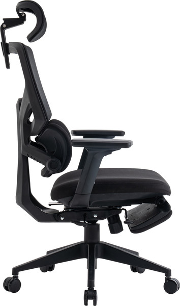 Изображение товара Кресло офисное Evolution LumbarPro FR