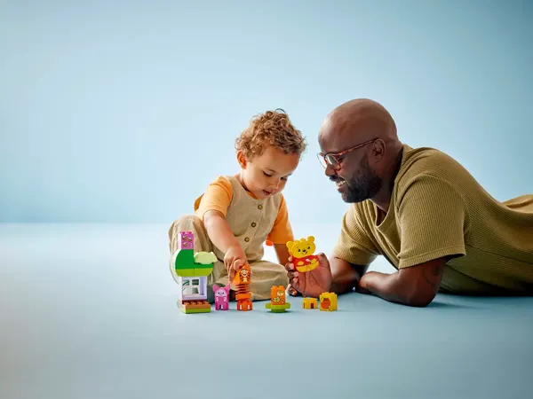 Изображение товара Конструктор Lego Duplo Disney День Рождения / 10457