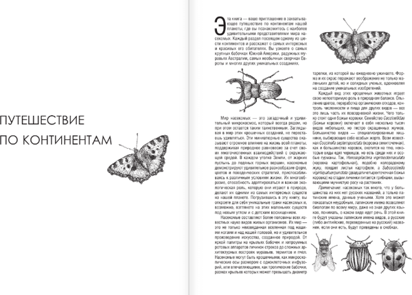 Изображение товара Раскраска АСТ Бабочки и другие насекомые. Атлас-раскраска, мягкая обложка (Быковский Сергей)