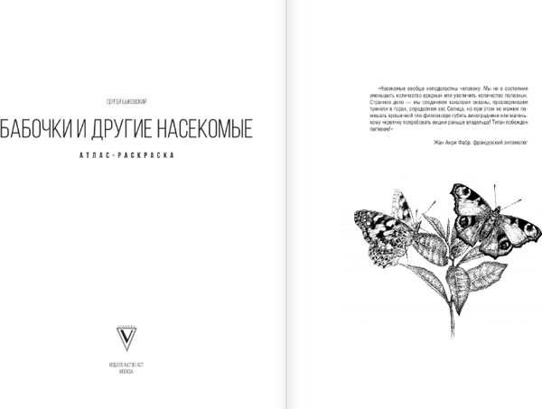 Изображение товара Раскраска АСТ Бабочки и другие насекомые. Атлас-раскраска, мягкая обложка (Быковский Сергей)