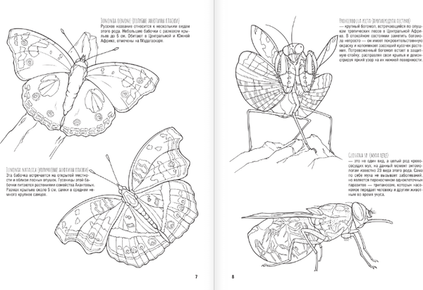 Изображение товара Раскраска АСТ Бабочки и другие насекомые. Атлас-раскраска, мягкая обложка (Быковский Сергей)