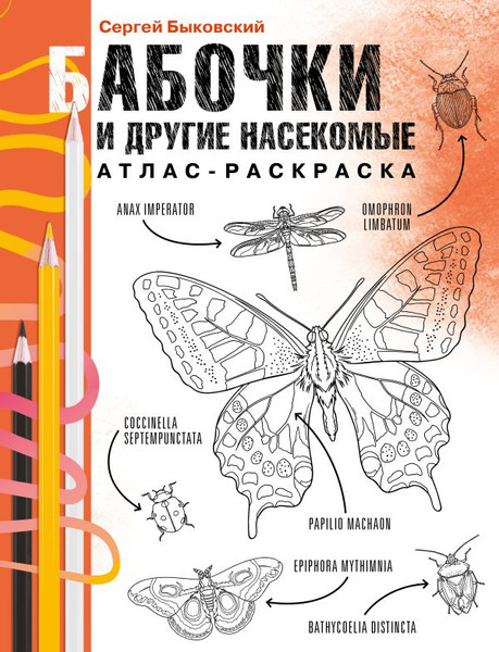 Изображение товара Раскраска АСТ Бабочки и другие насекомые. Атлас-раскраска, мягкая обложка (Быковский Сергей)