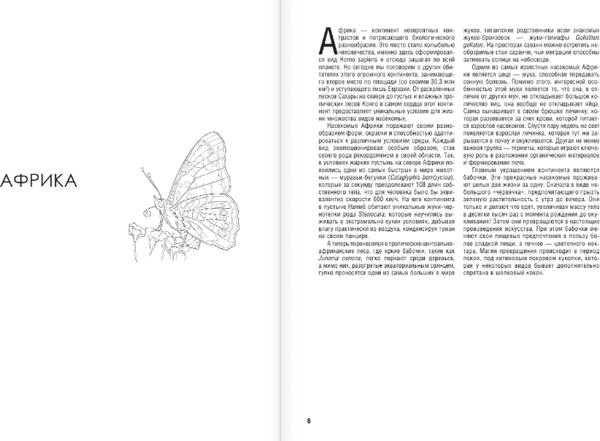 Изображение товара Раскраска АСТ Бабочки и другие насекомые. Атлас-раскраска, мягкая обложка (Быковский Сергей)