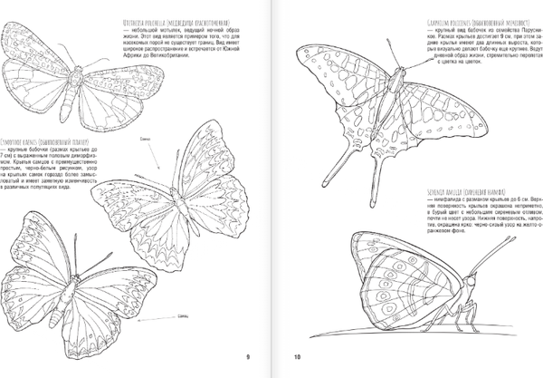 Изображение товара Раскраска АСТ Бабочки и другие насекомые. Атлас-раскраска, мягкая обложка (Быковский Сергей)