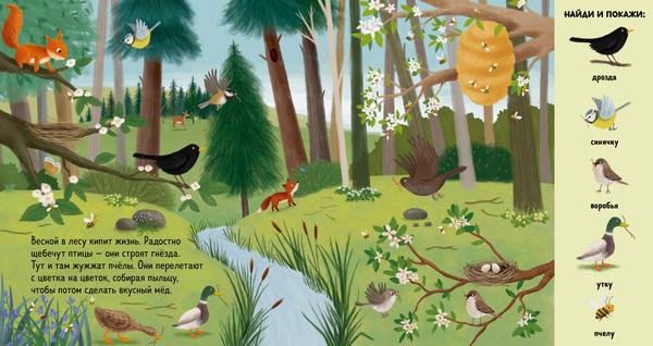 Изображение товара Развивающая книга CLEVER Найди и покажи. Животные в лесу, твердая обложка (Шуман Сибилла)