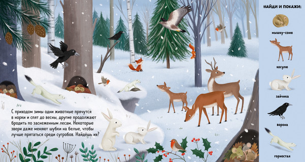 Изображение товара Развивающая книга CLEVER Найди и покажи. Животные в лесу, твердая обложка (Шуман Сибилла)